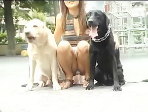 Sex with Dogs Videos