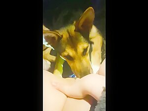 Woman submissive to dog in bestiality sex video