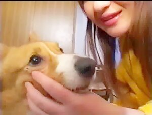 Vidéo de Sexe avec un Chien