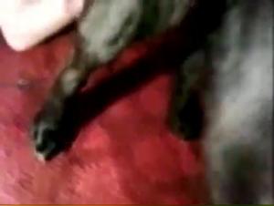 JUCE OF TAISON: Where passion meets savagery