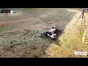 Video de bestialidad: una mujer y su perro