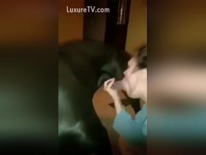 Amadora: Donde se revela la bestialidad sin restriccion