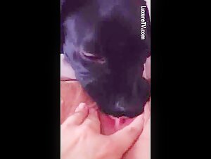 Deep Lick 1: Une Expérience Bestiale Intense