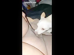 Video de sexo con perros: hombre y su mejor amigo