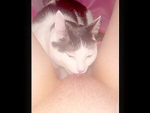 Rencontre interdite: femme et chat