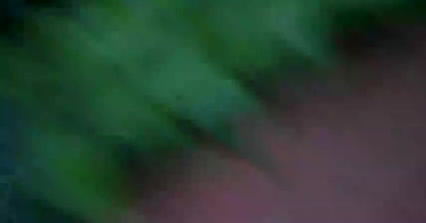 Canine Dementia: Brutal Sodomy with a Monstrous Boner