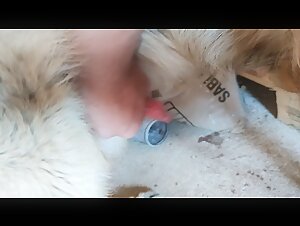 Videos de sexo de bestialidad con perros