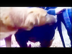 Mujer y perro en la naturaleza: un video de zoofilia bestial