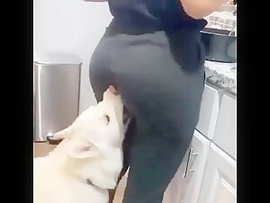 Un encuentro bestial: una mujer y su perro