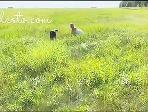 Femme et Chien : Une Rencontre Bestiale dans les Bois