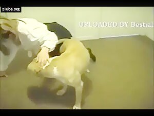 Bestiality Evening: A Blonde Begins in Dog Sex