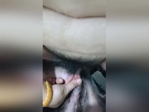Animal scams, forbidden pleasure
