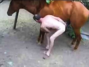 Mature man and horse in a zoophilia video