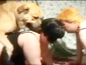 Videos de bestialidad para amantes del sexo extremo