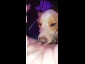 Encuentro bestial: una mujer y su perro