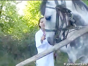 Veterinario hungaro y caballos - Videos de bestialidad