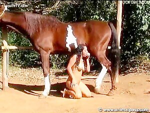 Expérience Bestiale: Une Fille Soumise et un Cheval