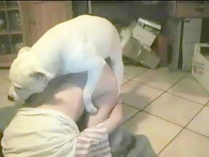 Des vidéos de sexe bestialité mettant en scène des femmes et des chiens