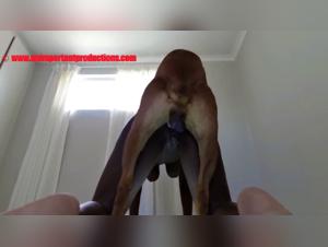 Harley Quinn: The Slut Fucks My Dog: Extreme Zoo Porn