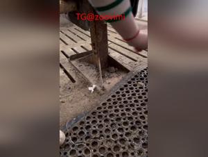 Collants ensablés : cochon en érection, Chinoise jouissant