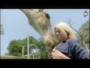 Riley Steele and the giraffe: an extreme bestiality video