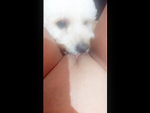 Curious woman and dog in bestiality sex video