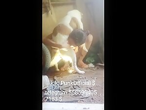 Nuevos videos de sexo con perros.