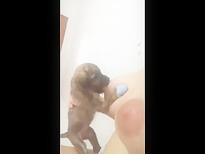 Leccare i seni di cane - Video di zoofilia