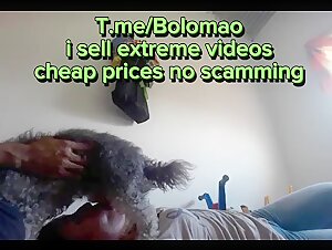 Video di sesso bestialita: cane sottomesso alla sua padrona