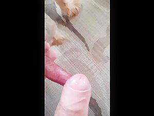 Bestiality sex video with dog