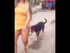 Woman and dog: a video of bestiality in the street