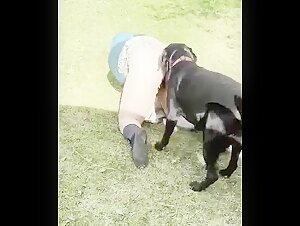 Sexo bestial: una mujer y un perro en el jardin