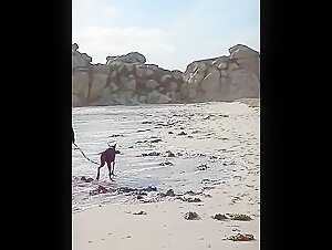 Tine y su perro en un coche: un escenario de intensa zoofilia