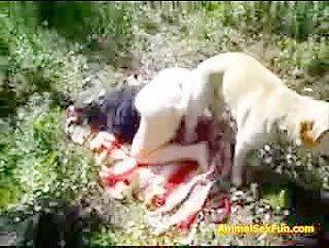 Woman Submissive to a Dog in the Forest: A Video of Extreme Zoophilia