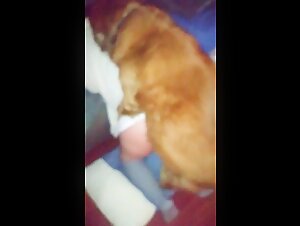 Encuentro inesperado con un perro: Un video de zoofilia que no te puedes perder