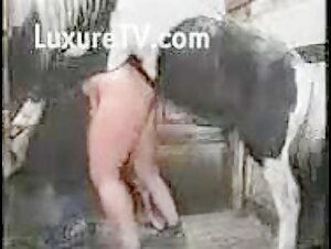 The hottest equine sex video ever