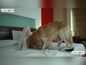 délices sauvages : alina et son chien en actes obscènes