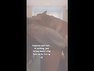 Vidéo de sexe avec un chien : une adolescente et le chien de son père