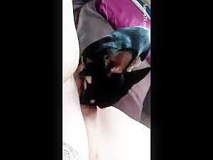 A Dog and his Mistress in a Bestiality Sex Video