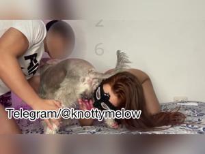Dog in the mix, double penetration action