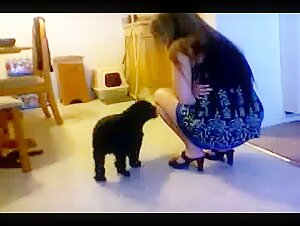 Mature Woman and Dog: A Bestial Encounter - Bestiality Sex Video  