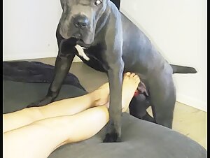 Forbidden dating: sex with a dog