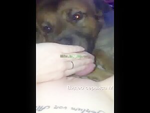 Bestiality sex video: dog licks woman's pussy to orgasm