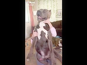 Bestialidad extrema: Video de zoofilia con un perro