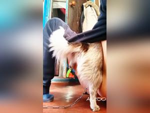 libertinage animal: teen sauvage et appétit vorace
