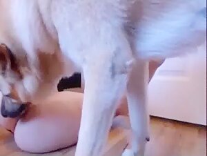 Teenage girl and dog: an exciting zoophilia video