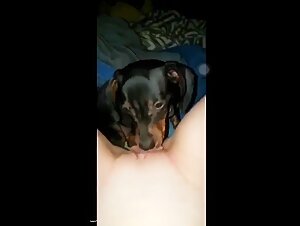 A young woman and her dog in a bestiality sex video