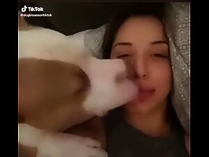 Momenti appassionati con i cani in video di sesso bestiali